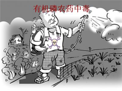 什么是有機磷農(nóng)藥殘留？食品安全檢測儀提醒您規(guī)避風險