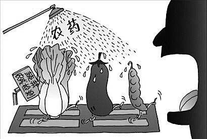 冬季，北方地區(qū)不僅要做好蔬菜儲備也要謹防農藥殘留
