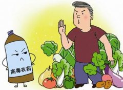 如何正確選擇適合的蔬菜？