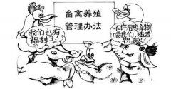 如何更好的管理食品安全？