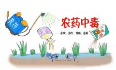 農(nóng)藥殘留速測(cè)儀助力“有機(jī)農(nóng)業(yè)”發(fā)展！