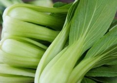 如何延長農(nóng)藥殘留速測儀的使用壽命？