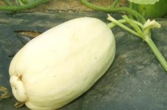 農(nóng)貿(mào)市場配備農(nóng)藥殘留檢測儀有必要嗎？
